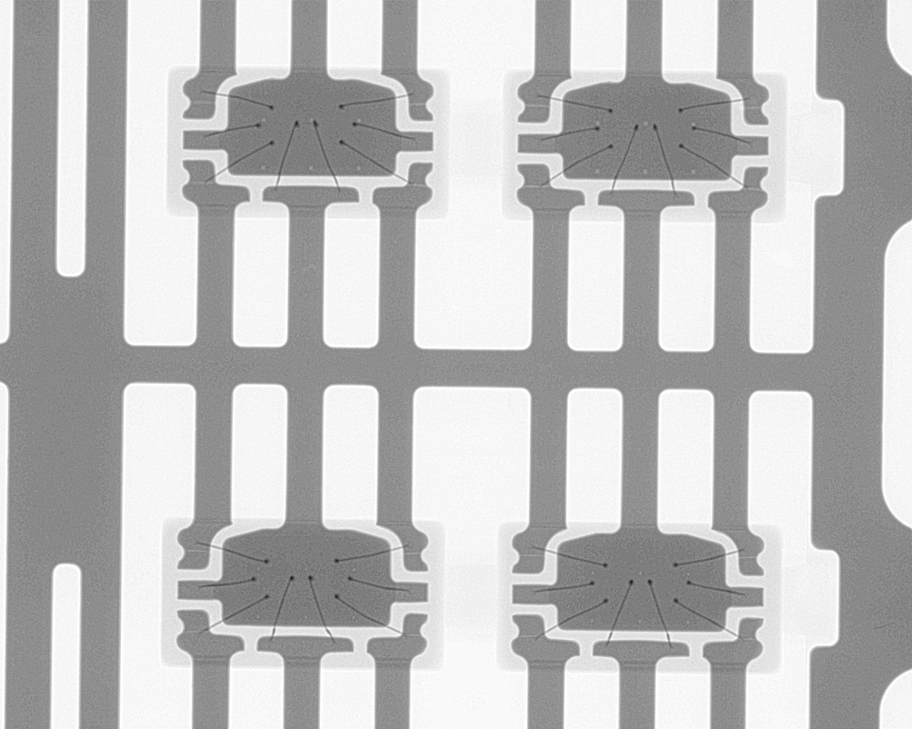 1697097948416538.png 1697097948416538.png